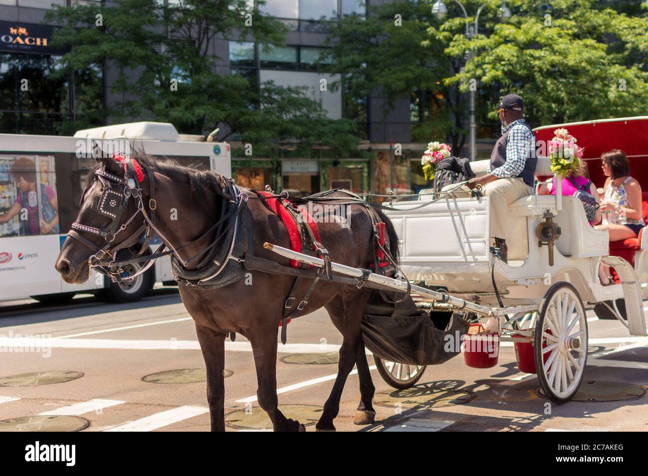 Central park horse and carriage hi-res stock photography and images - Alamy