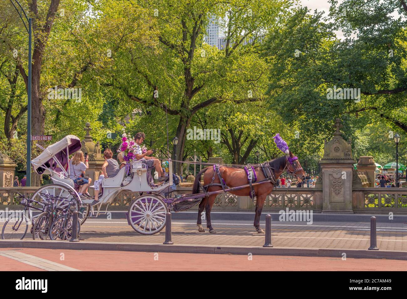 New york city central park carriage hi-res stock photography and images ...