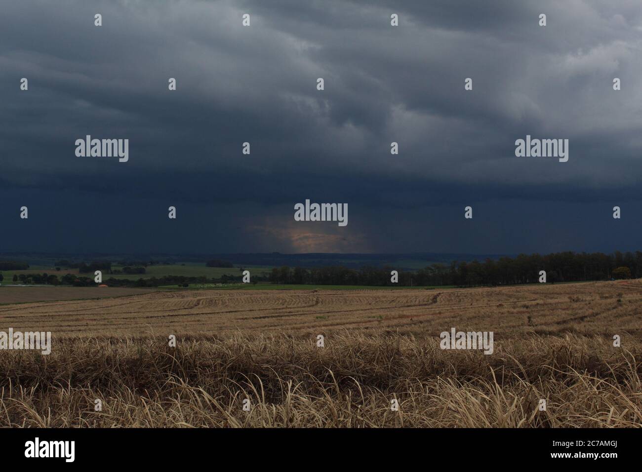 Storm clouds over the field Stock Photo