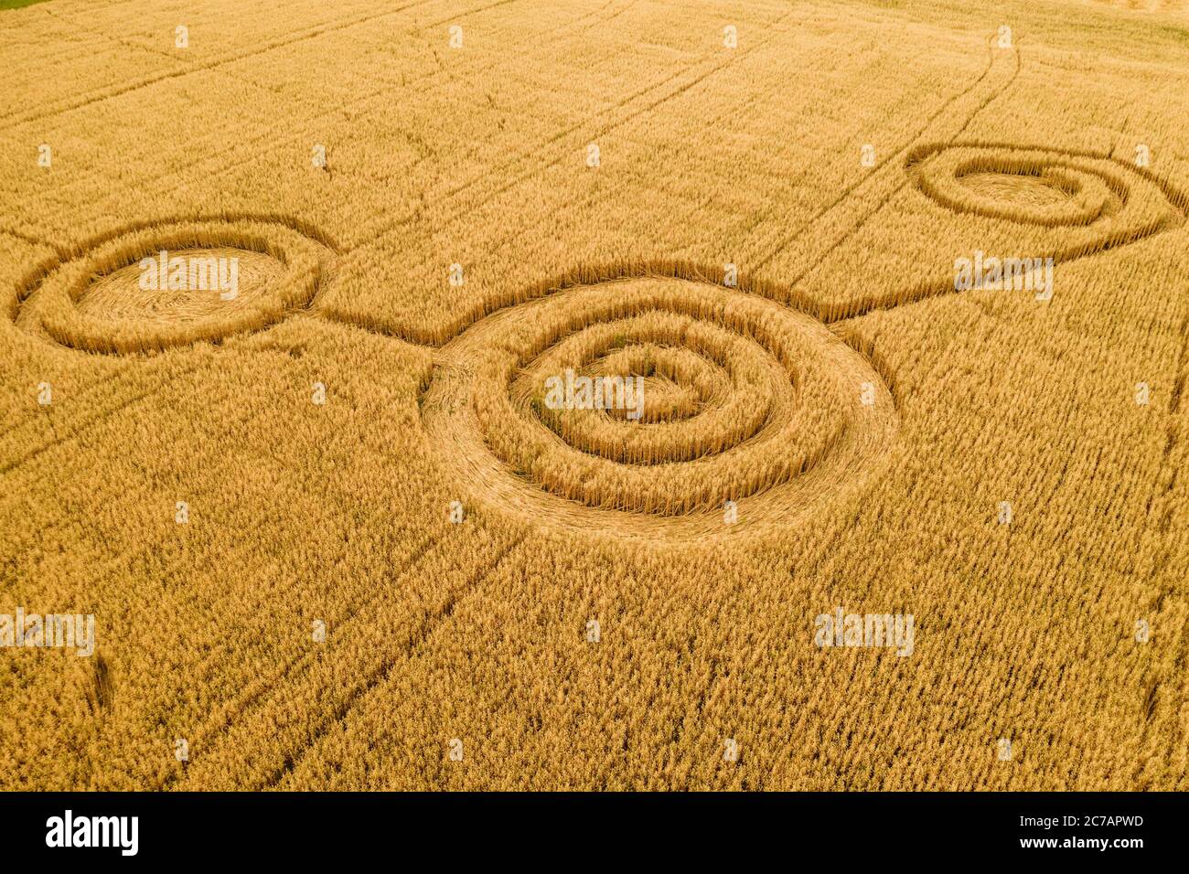 Fake UFO circles on grain crop yellow field, aerial view from drone. Round geometry shape symbols as alien signs, mystery concept. Stock Photo