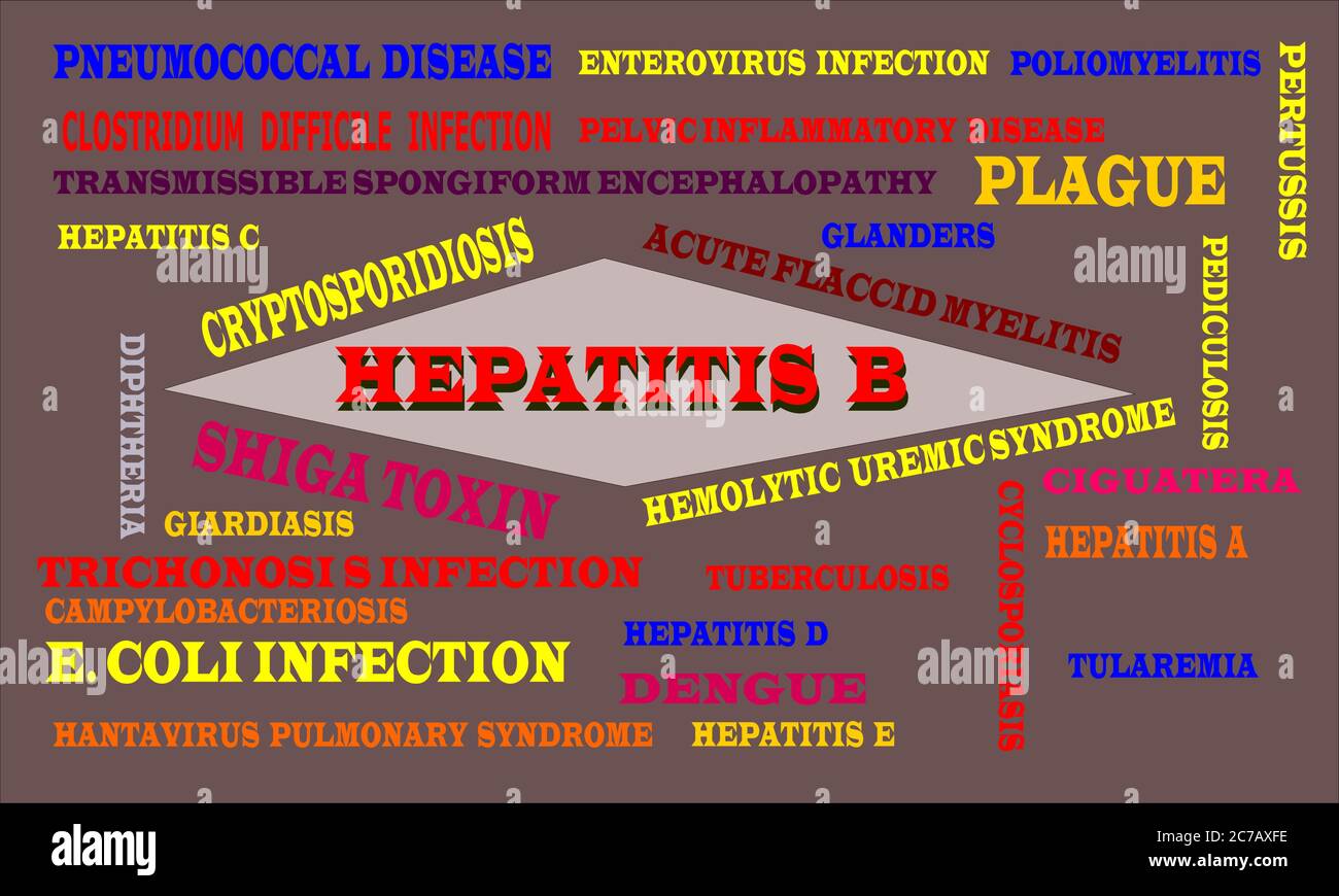 Hepatitis B Infected disease name highlighted around multiple medical terminology word cloud abstract. Stock Vector