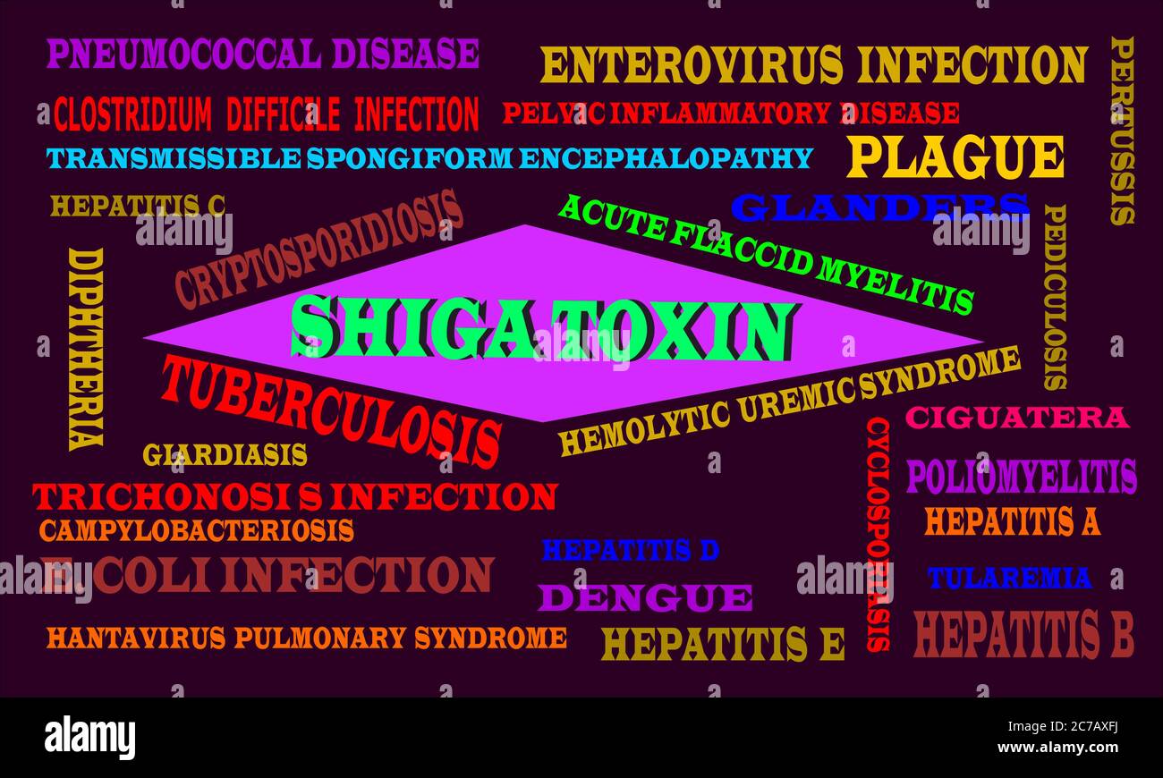 Shiga Toxin Infected disease name highlighted around multiple medical terminology word cloud abstract. Stock Vector