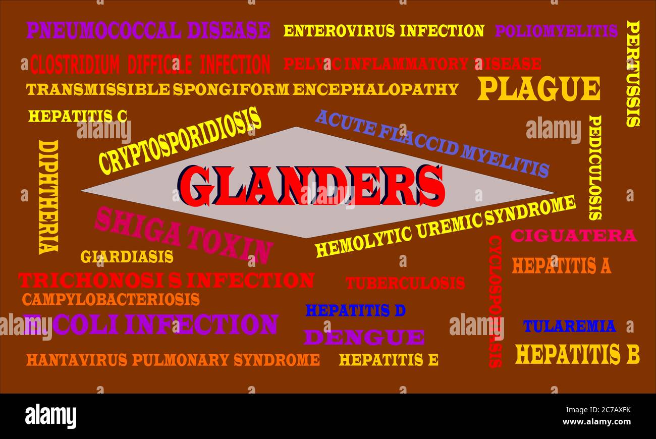 Glanders Infected disease name highlighted around multiple medical terminology word cloud abstract. Stock Vector