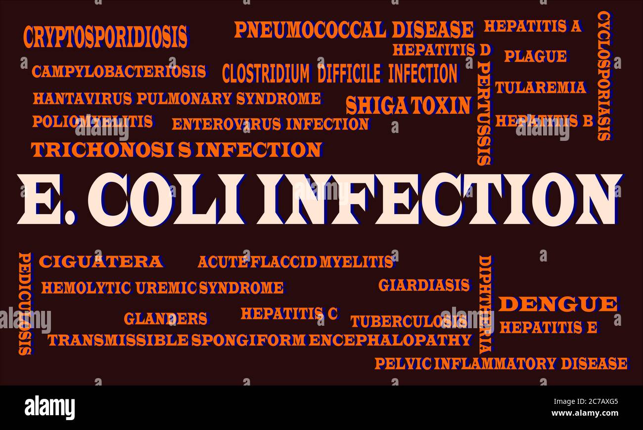 E. Coli infected disease name highlighted around multiple medical terminology word cloud abstract. Stock Vector