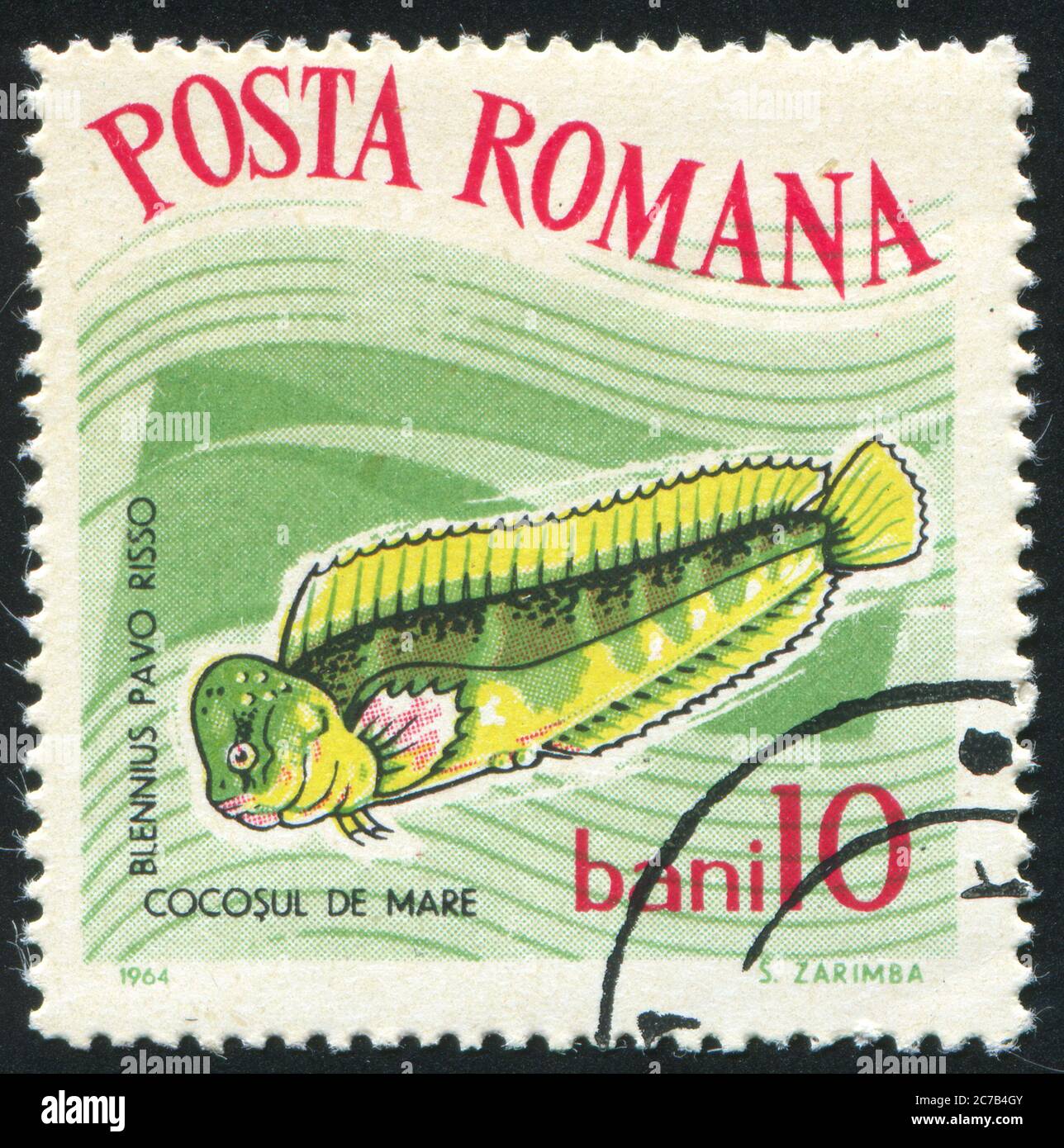 ROMANIA - CIRCA 1964: stamp printed by Romania, show peacock blenny, circa 1964. Stock Photo