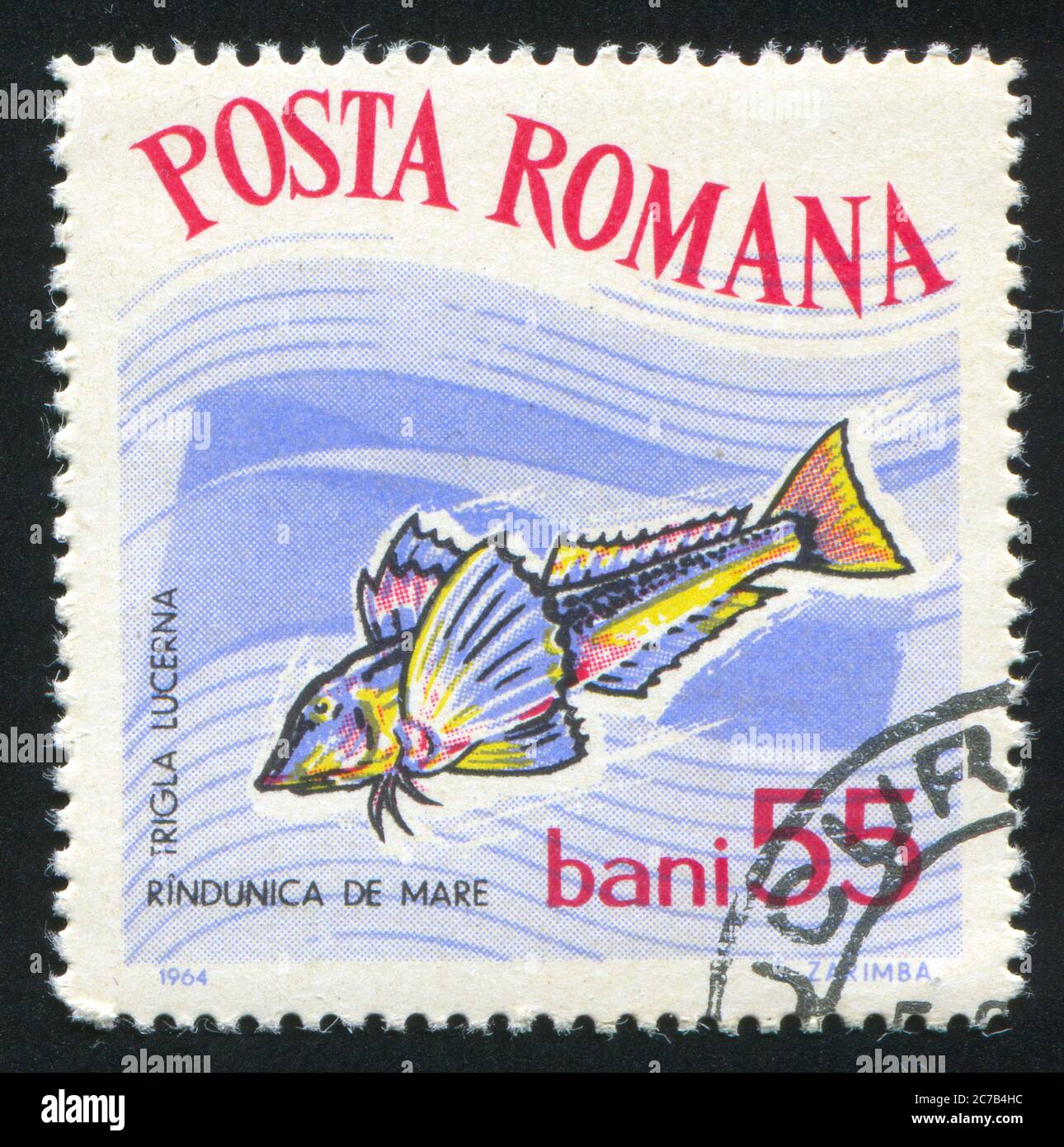 ROMANIA - CIRCA 1964: stamp printed by Romania, show Yellow gurnard, circa 1964. Stock Photo