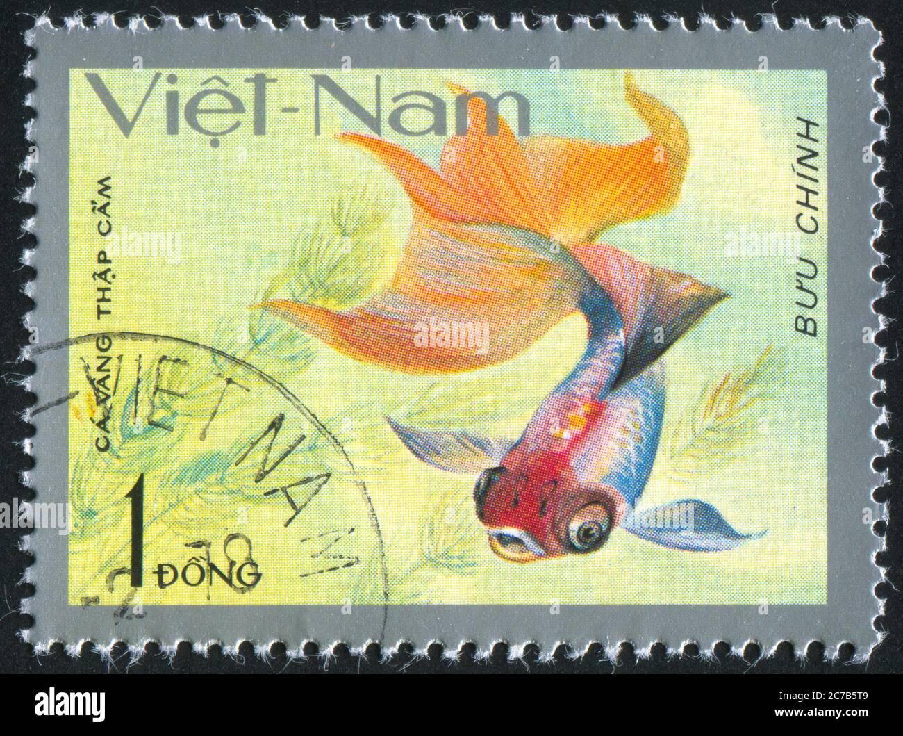 VIET NAM - CIRCA 1977: stamp printed by Viet Nam, shows Goldfish, circa ...