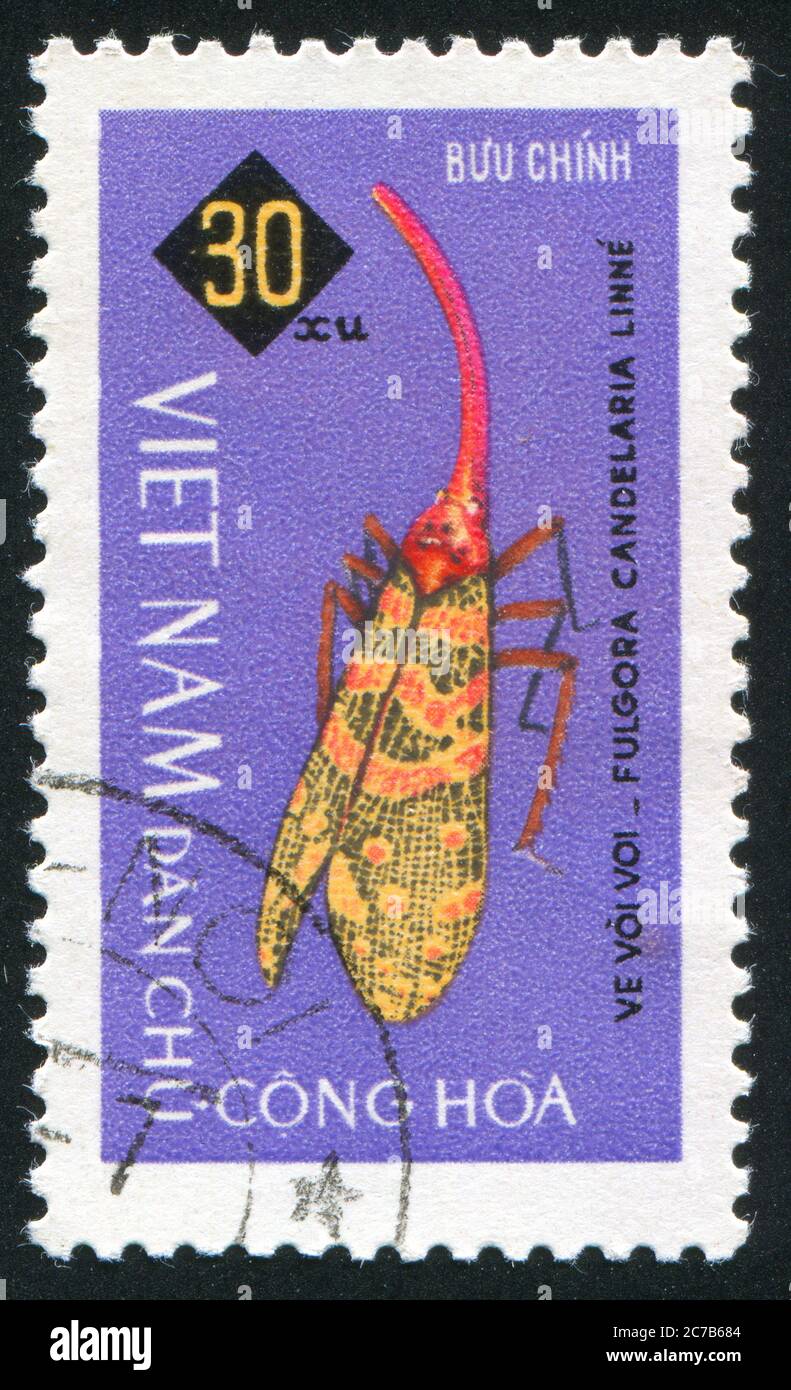 VIET NAM - CIRCA 1965: stamp printed by Viet Nam, shows Fulgora candelaria, circa 1965 Stock Photo