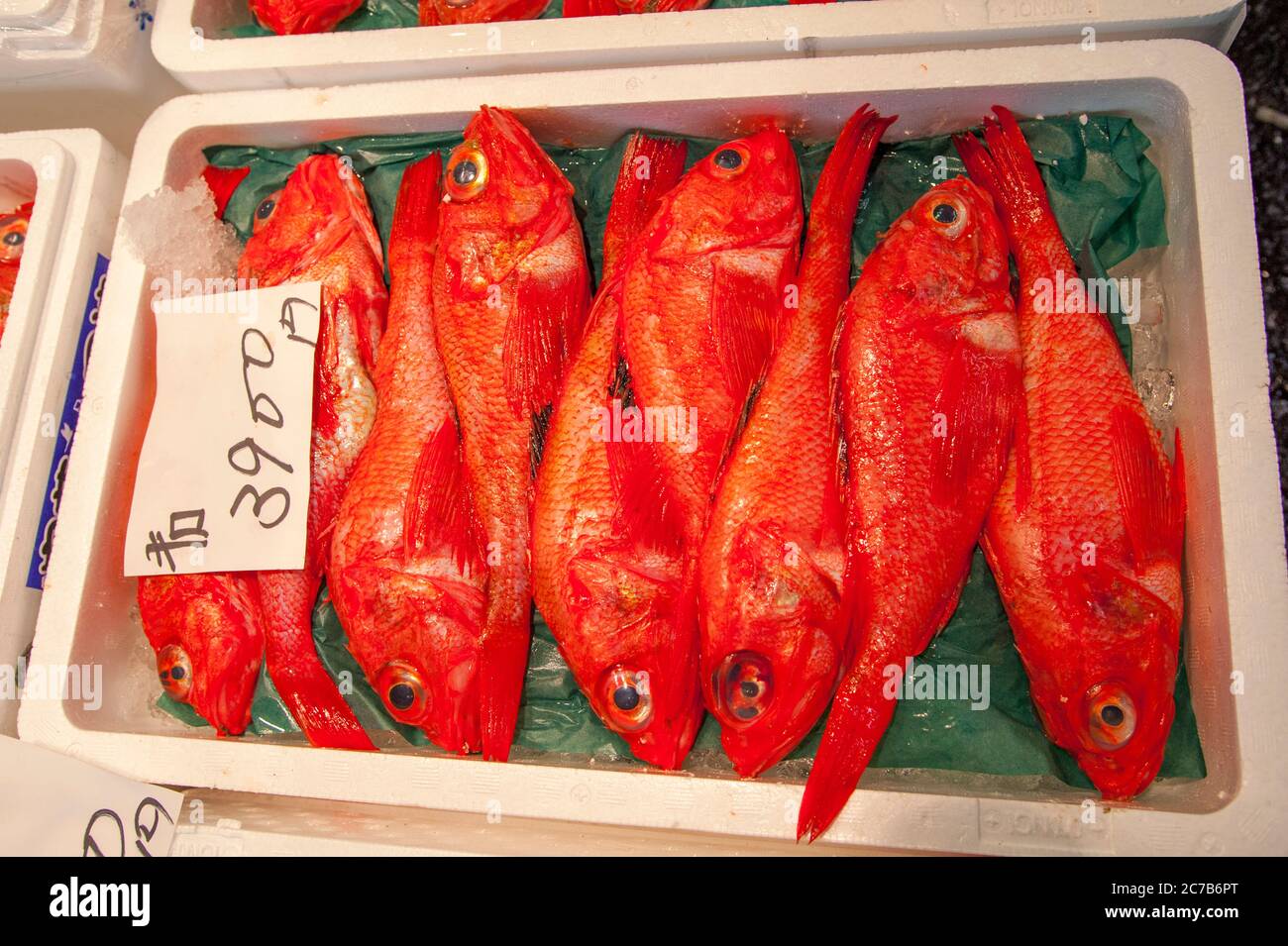 Fresh fish for sale on the Tsukiji Fish Market in Tokyo, Japan Stock