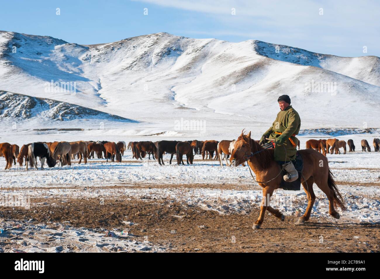 Herders relocating a herd of horses to a winter pasture near Ulaanbaatar, Mongolia. Stock Photo