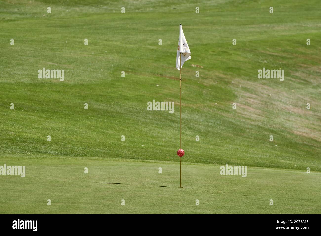 Golf course with white flag pole on putting green in Königsfeld