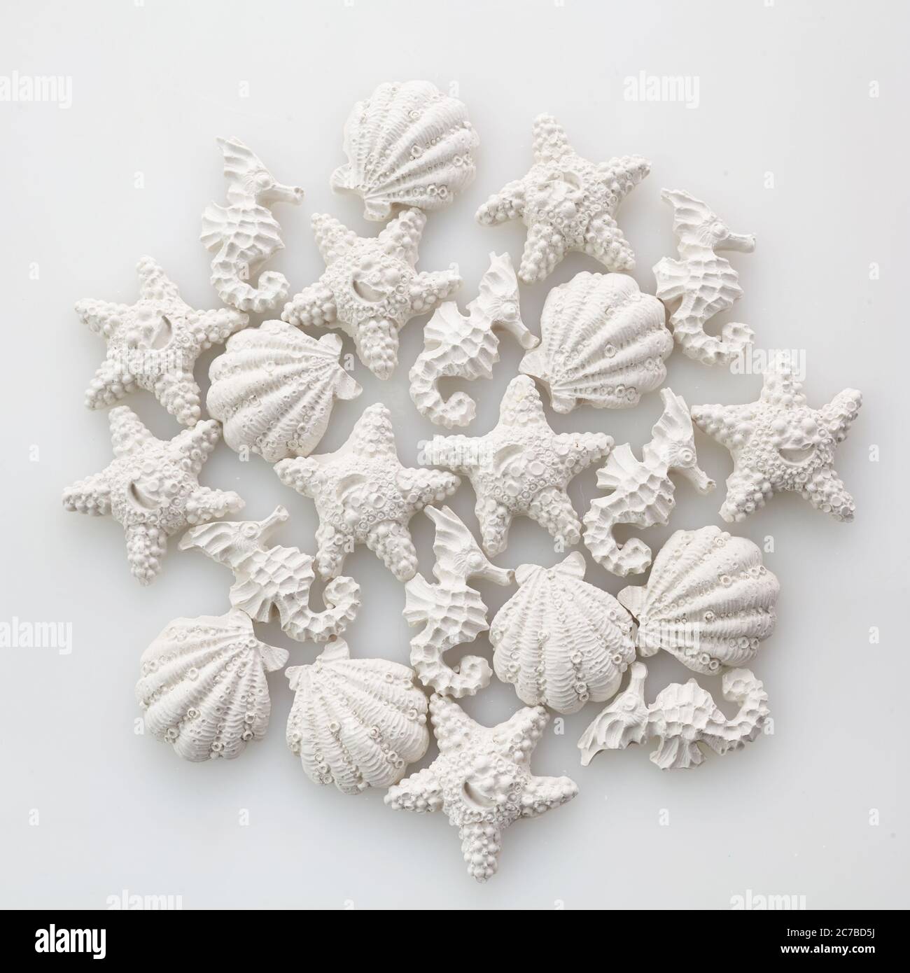 Marine ocean day background with shells starfishes and seahorses. white on white concept Stock Photo