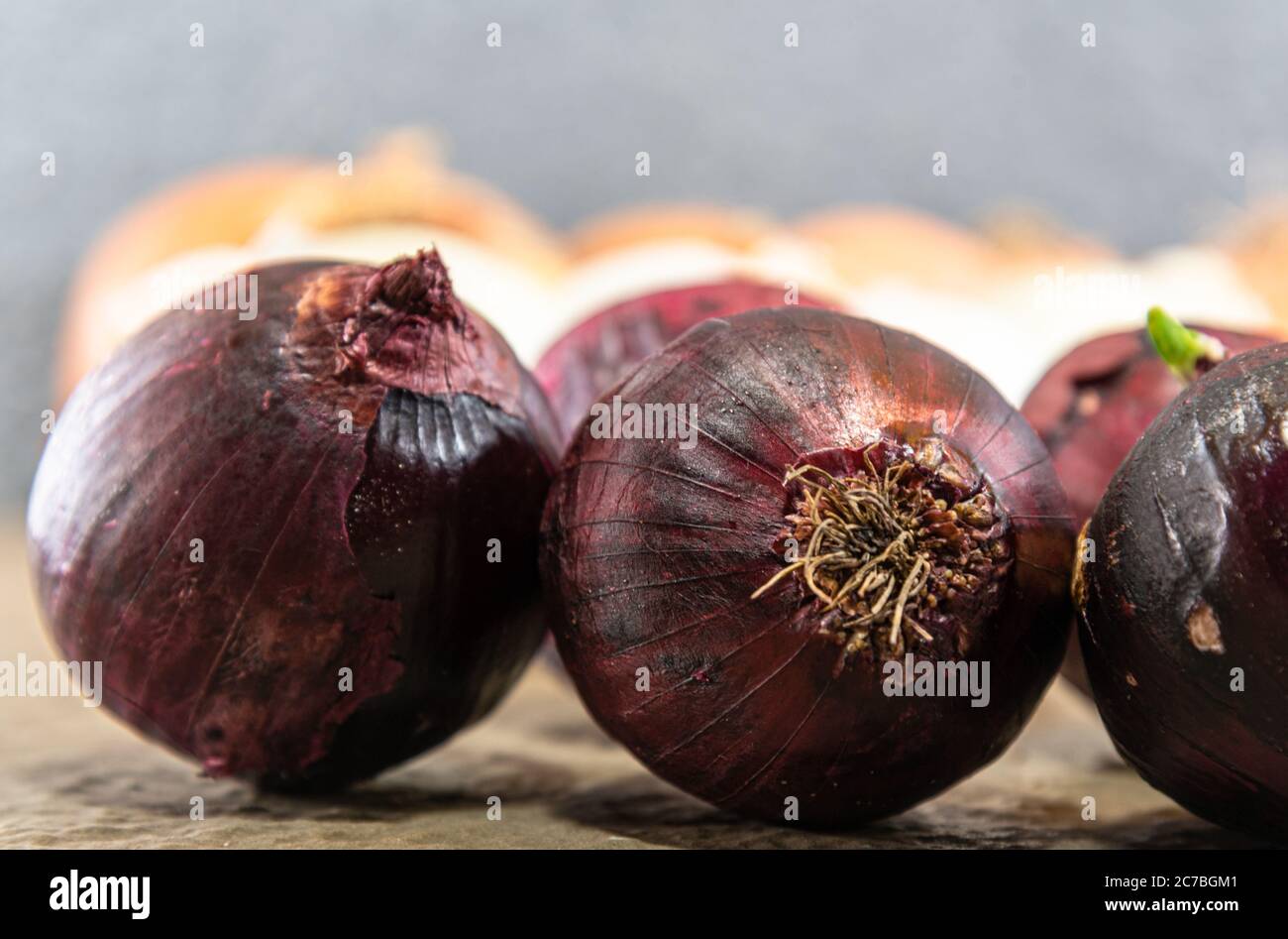 Bulbs of onions (Allium cepa). Condiments for seasoning. Culinary