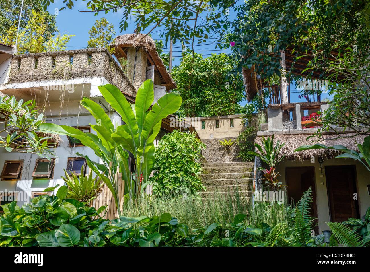 Tropical jungle ubud hi-res stock photography and images - Alamy