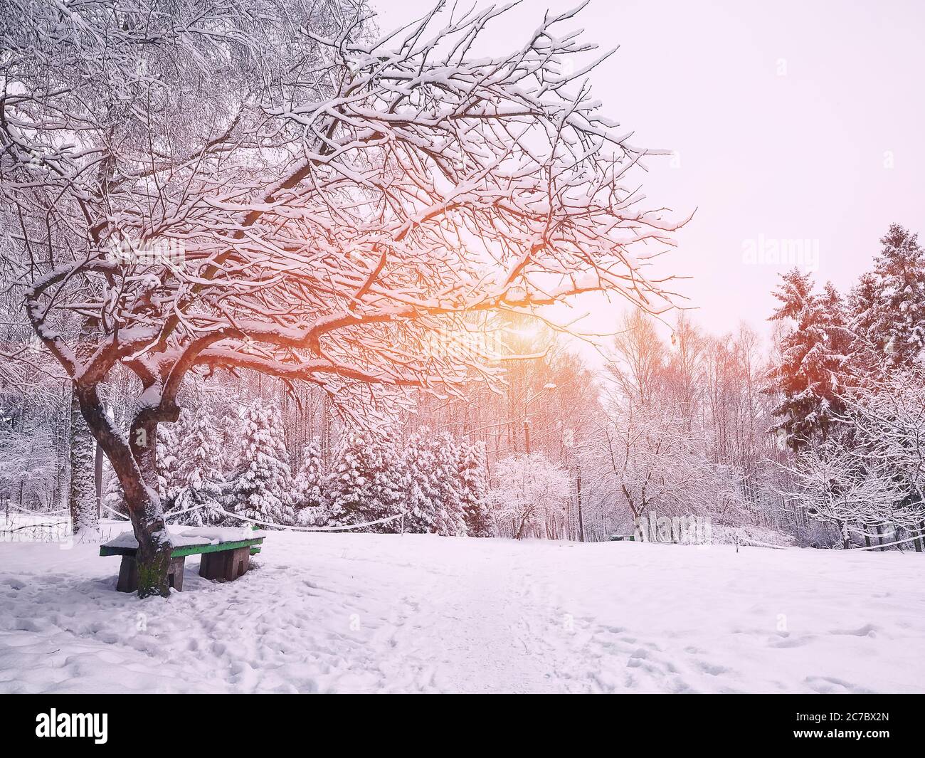 Park bench and trees covered by heavy snow. Lots of snow Stock Photo ...