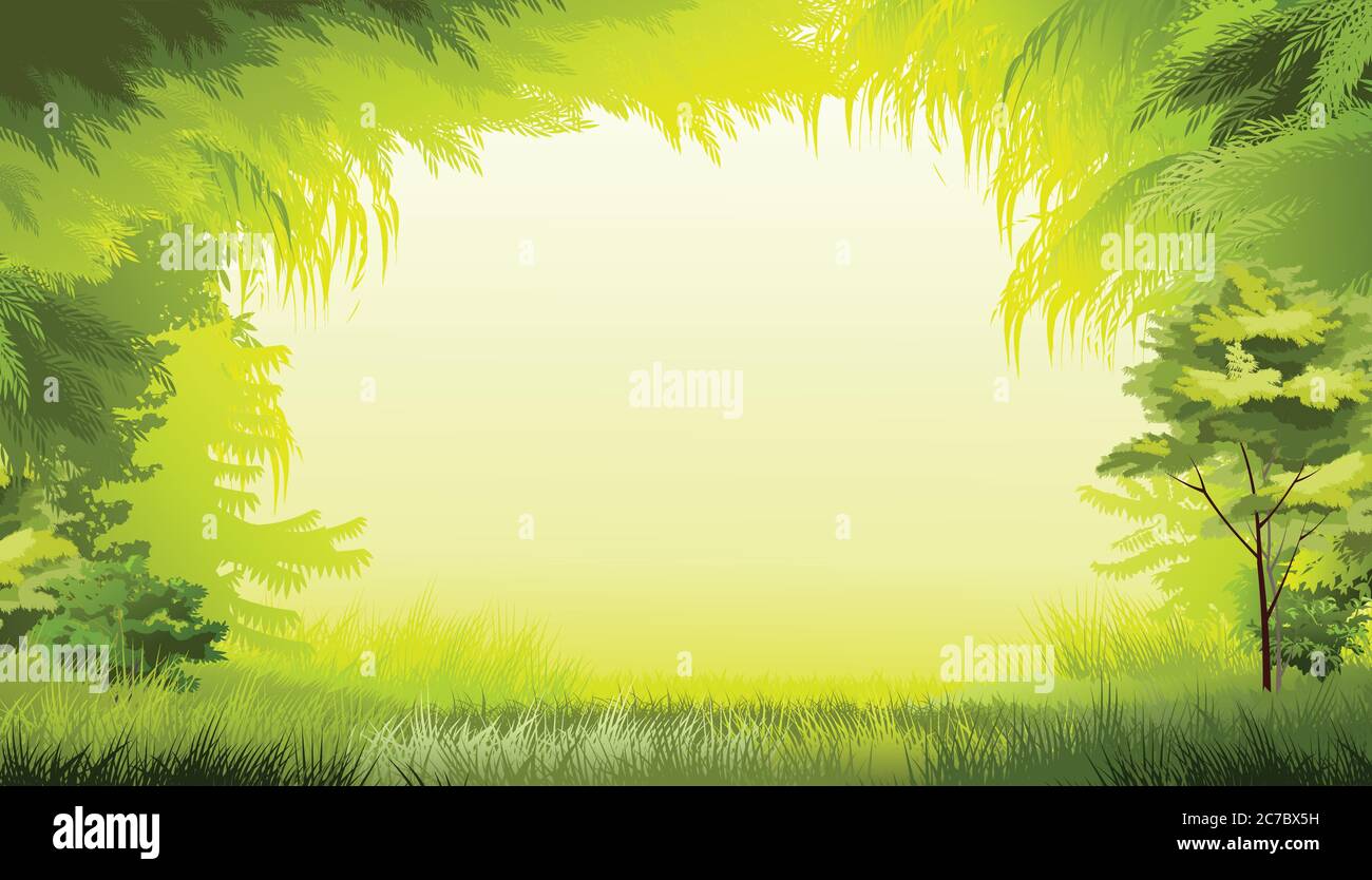 Forest background vector. Morning day. Beautiful green landscape. Scenery  with trees, branches, grass. Place for text. Deciduous European forest  Stock Vector Image & Art - Alamy