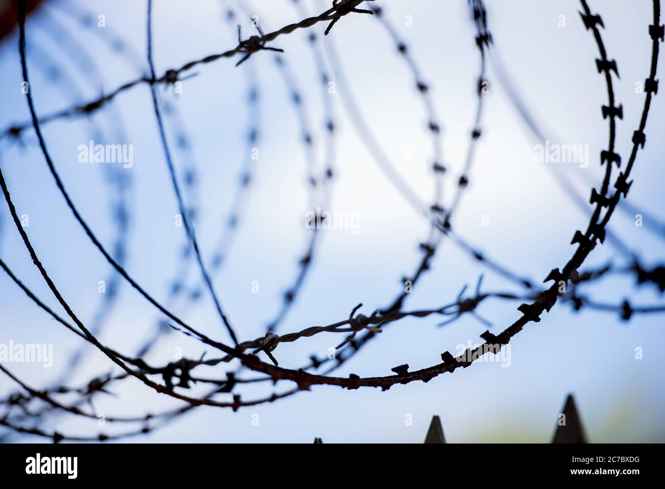 Barbed wire background vector hi-res stock photography and images - Alamy