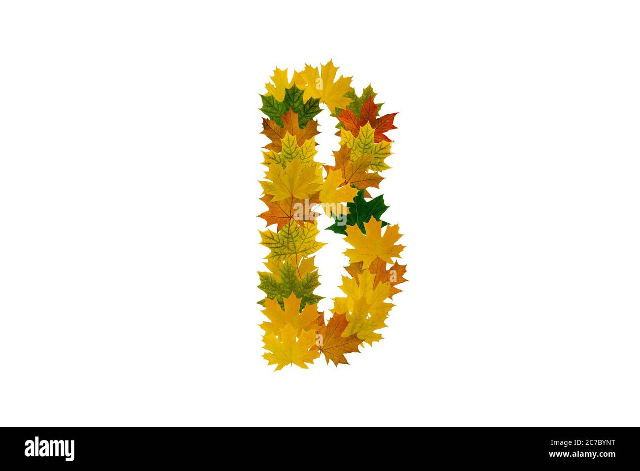 Letter B From Autumn Maple Leaves Isolated On White Background ...