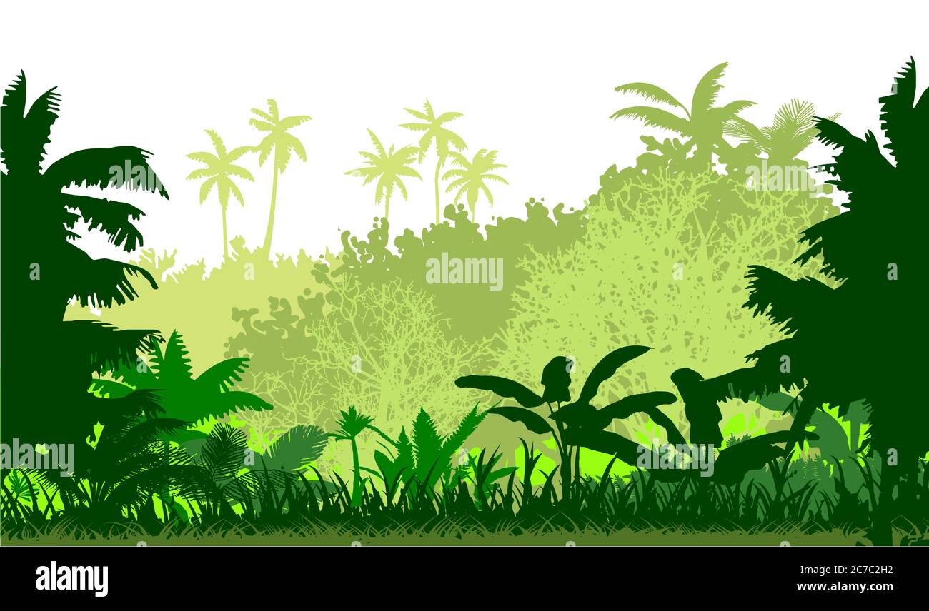Tropical plants, herbs. The jungle, the savannah. Vector. Dense thickets of meadow. Light foggy green horizon, lush young grass and shrubs. Spreading Stock Vector