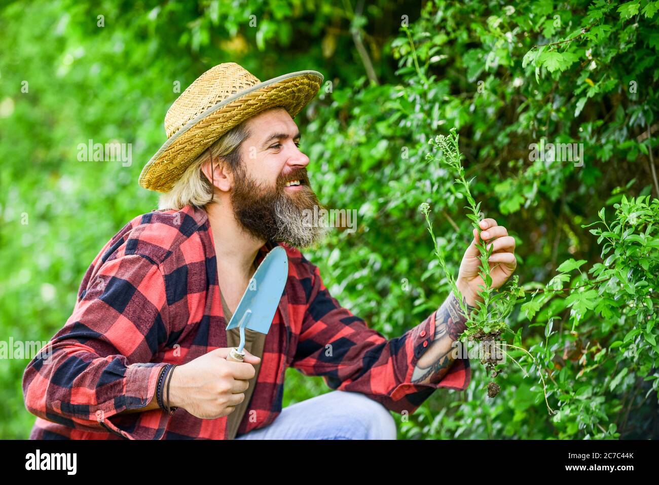 Love nature. Summer works. Shade tolerant plants can be planted under