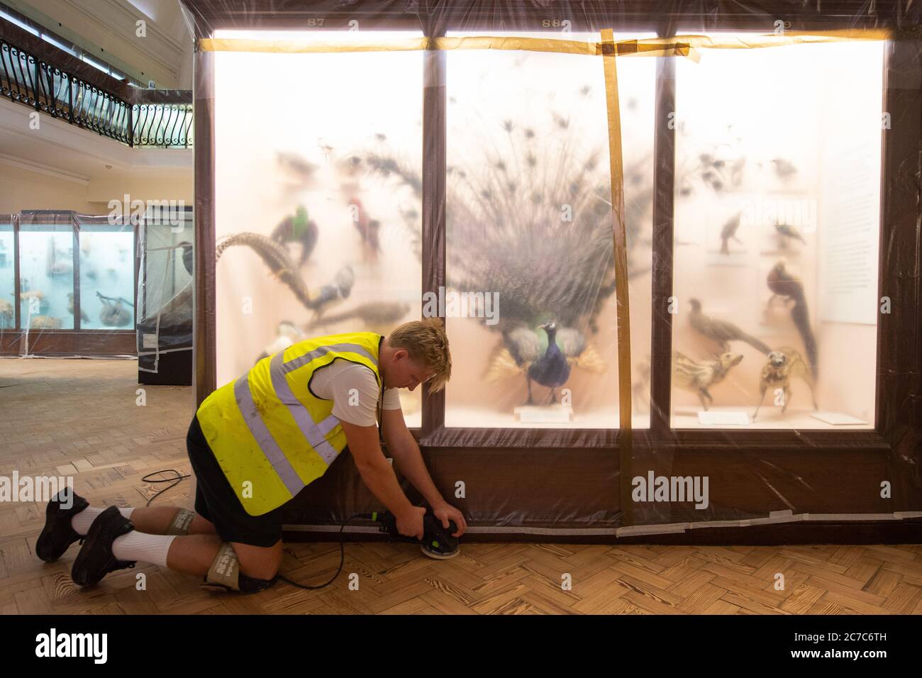 Ted Bartram of AP Pelosi sands the parquet floor in the Natural History Gallery at the Horniman Museum in London as they prepare to reopen their doors to the public on July 30th following the easing of lockdown restrictions in England. Stock Photo