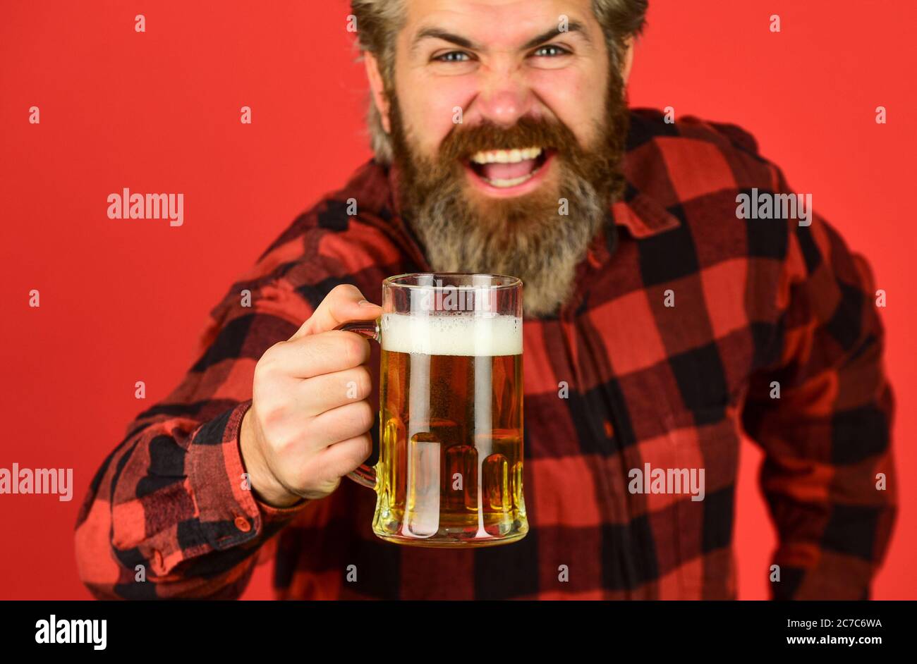 enjoying a beer. confident bartender. barman in bar. resting at pub. Cheers. sport bar. trying a new beer. brutal hipster drink beer. mature bearded man hold beer glass. mug of alcohol beverage. Stock Photo