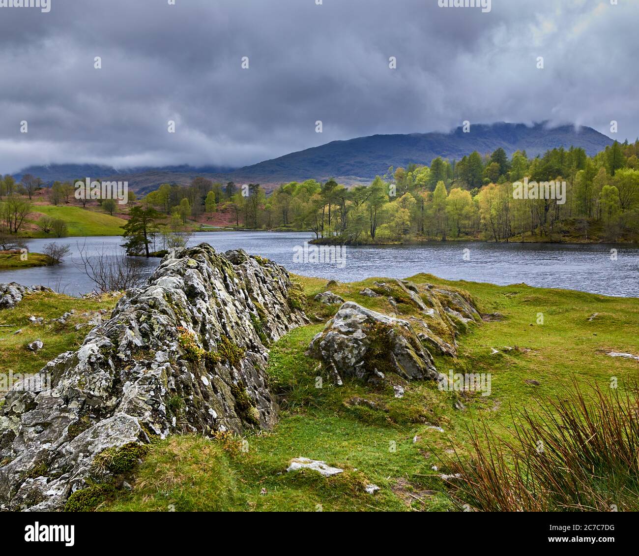 Tarn Hows View towards the Coniston Hills, Lake District Stock Photo