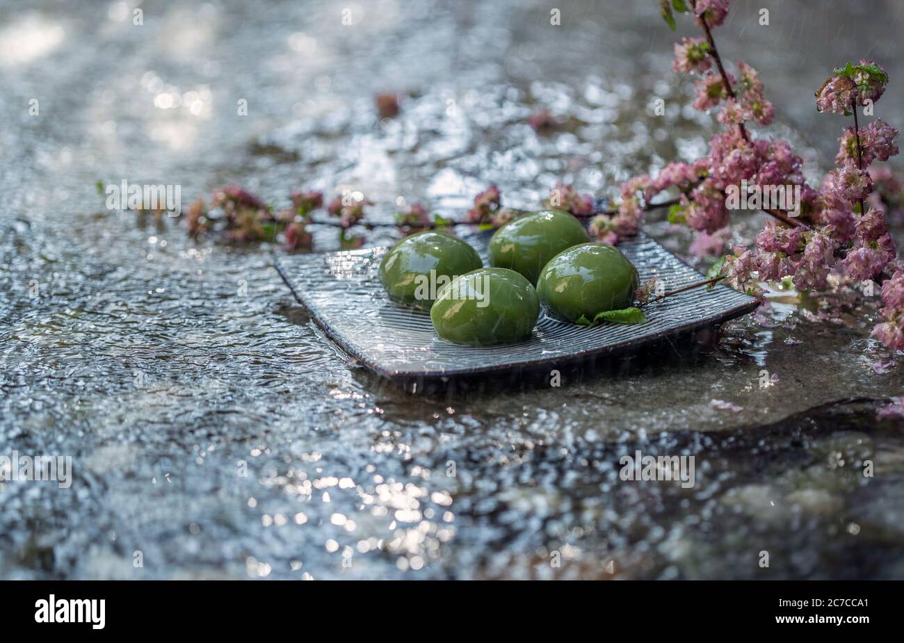 Slabs in the rain on the green and peach blossom Stock Photo Alamy