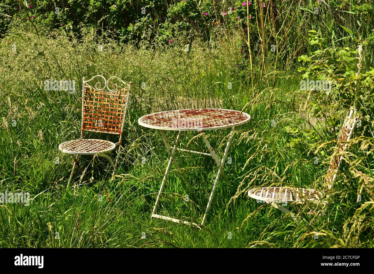 Chairs overgrown garden hi-res stock photography and images - Alamy