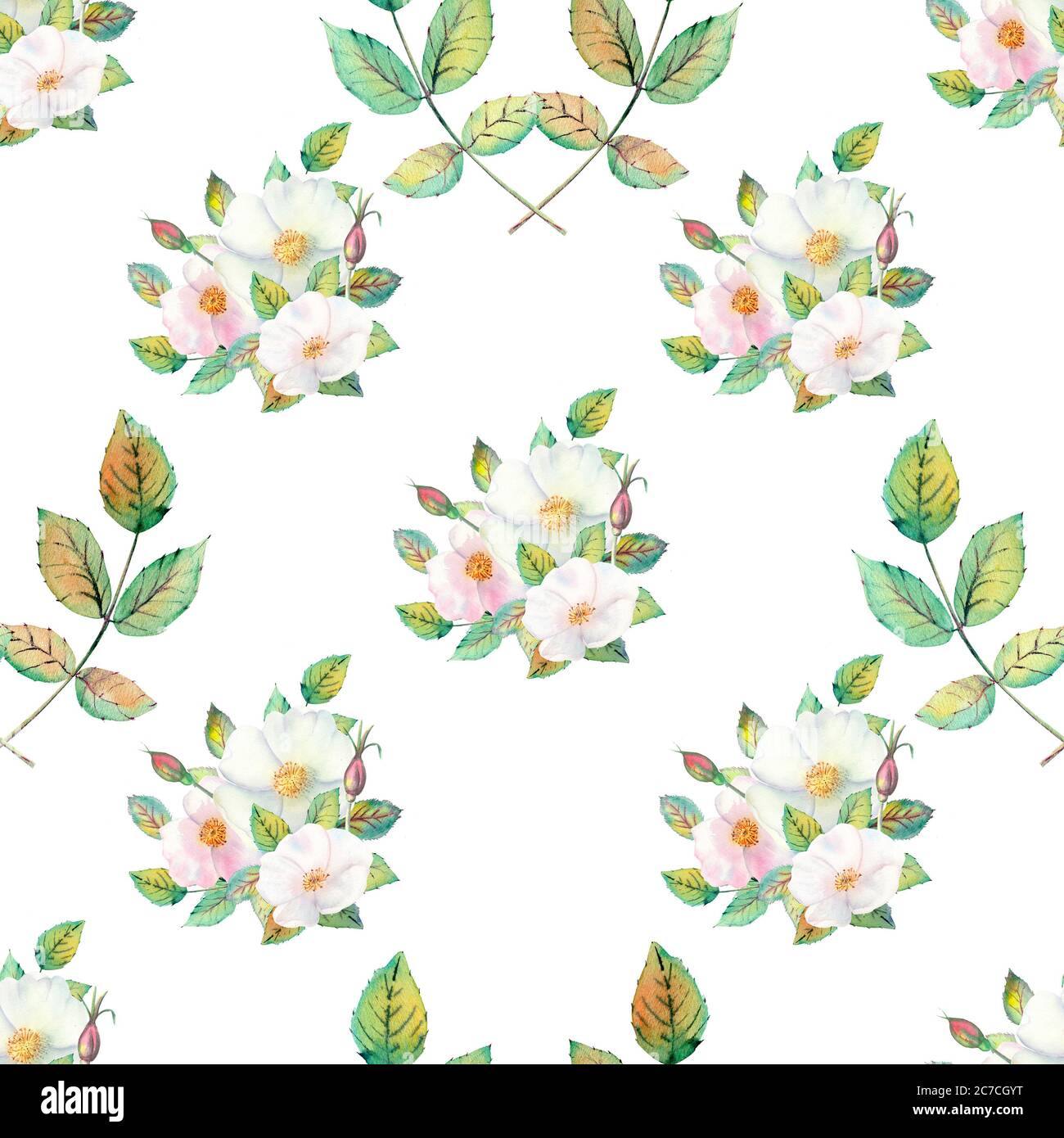 Seamless pattern. Flowers and fruits of rose hips Watercolor. Flower illustrations. Bohemian bouquets of flowers, wreaths, wedding compositions Stock Photo
