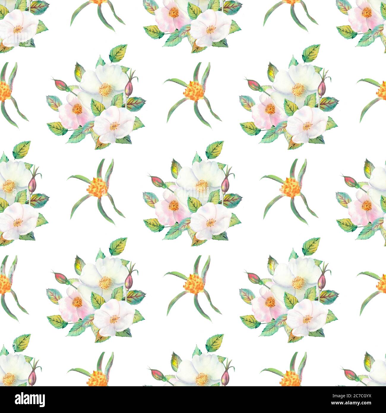 Seamless pattern. Flowers and fruits of rose hips Watercolor. Flower illustrations. Bohemian bouquets of flowers, wreaths, wedding compositions Stock Photo