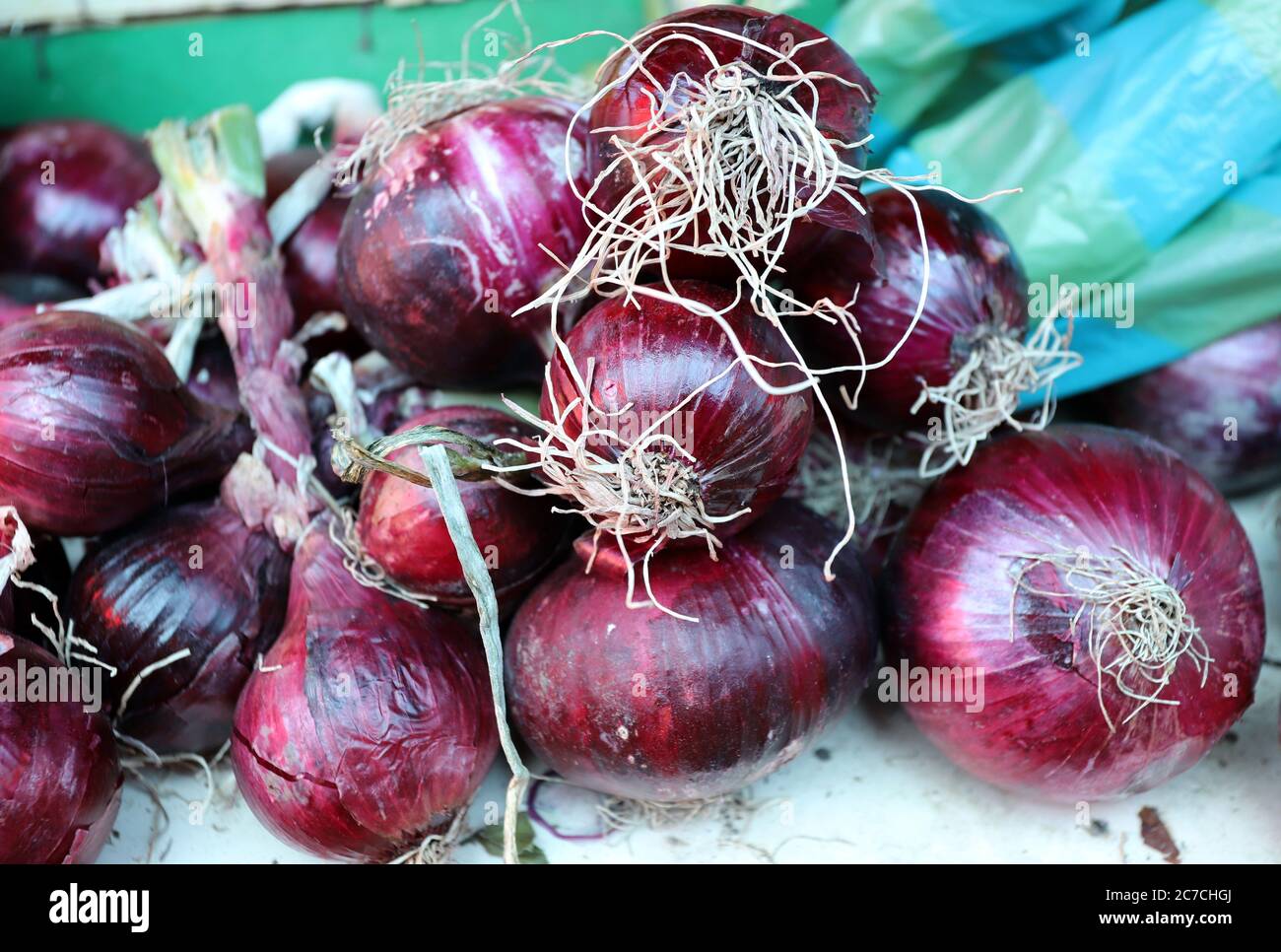 Close up of fresh red onion bulbs background texture. Allium cepa. Stock Photo