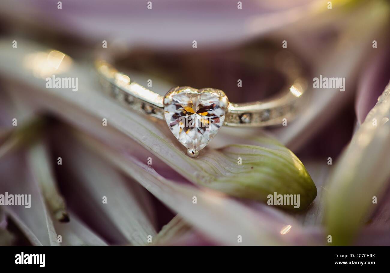 Selective closeup focus shot of a heart-shaped diamond ring on a flower with a blurred background Stock Photo