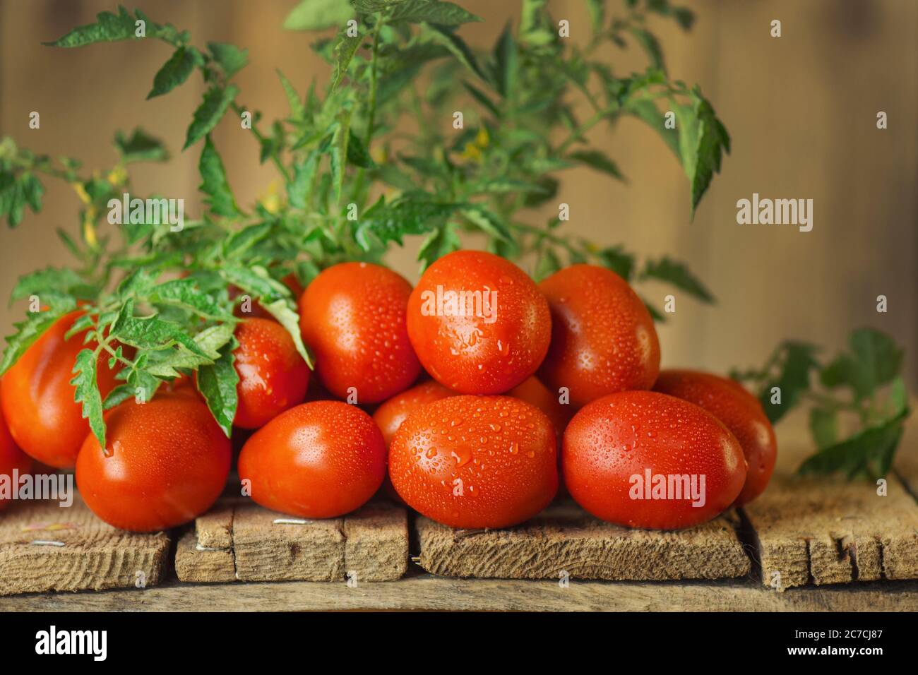 Fresh organic juicy Roma tomatoes. Tomatoes Roma on table Stock Photo ...
