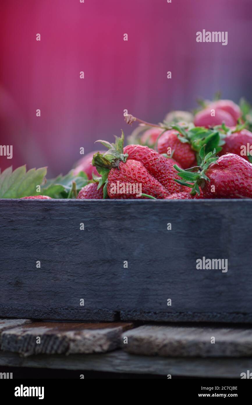 Farmers market strawberry hi-res stock photography and images - Alamy