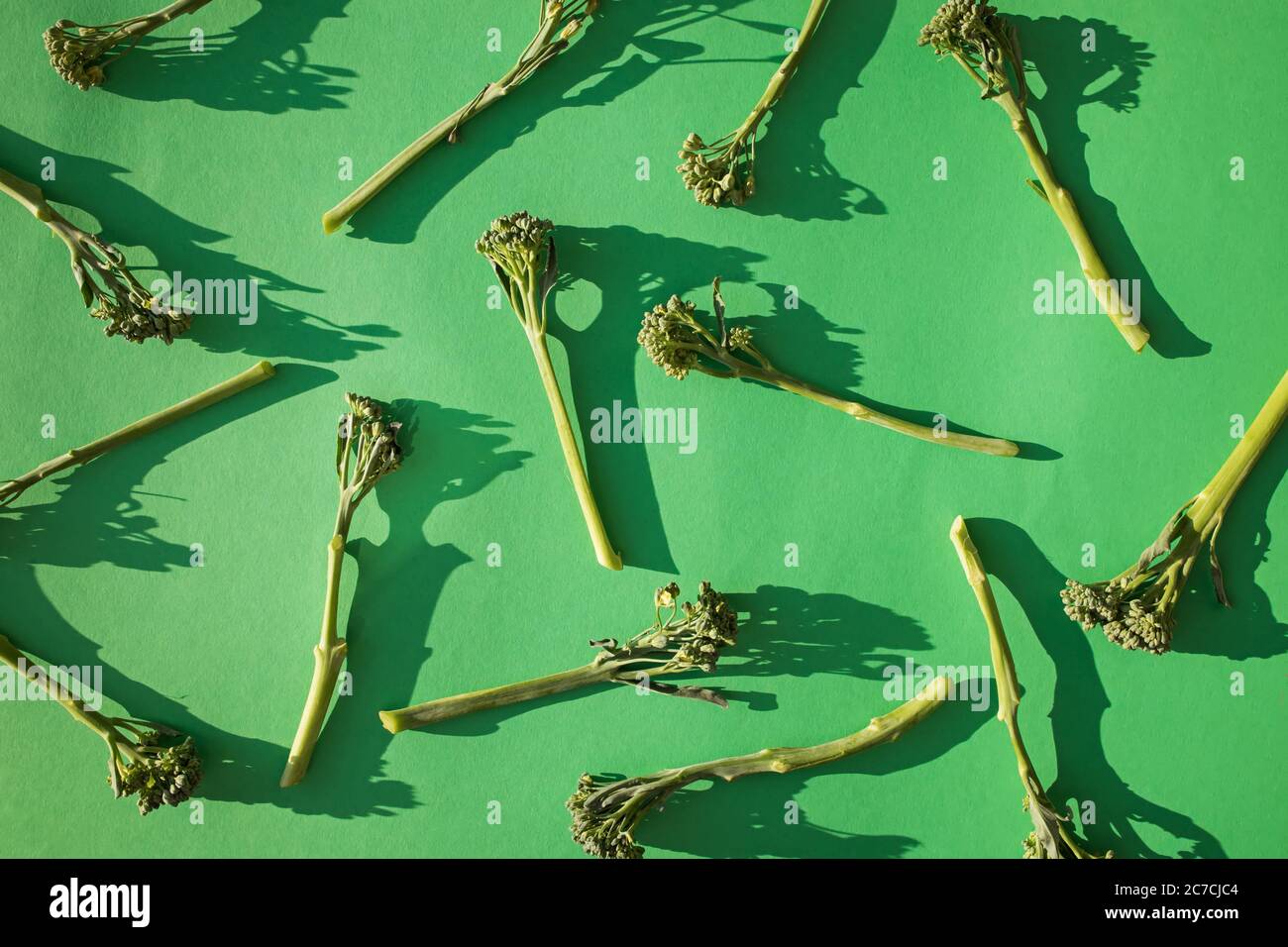 Raw broccolini vegetable on green background Stock Photo