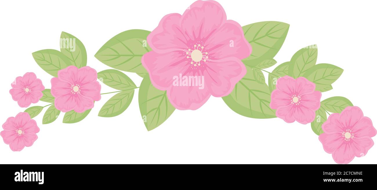 pink flowers with leaves vector design Stock Vector Image & Art - Alamy