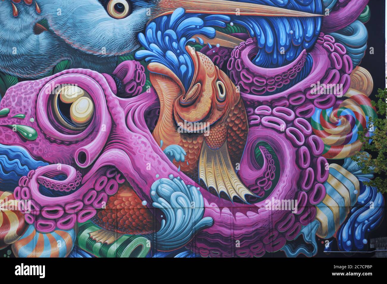 Halifax Nova Scotia wall graffiti Stock Photo
