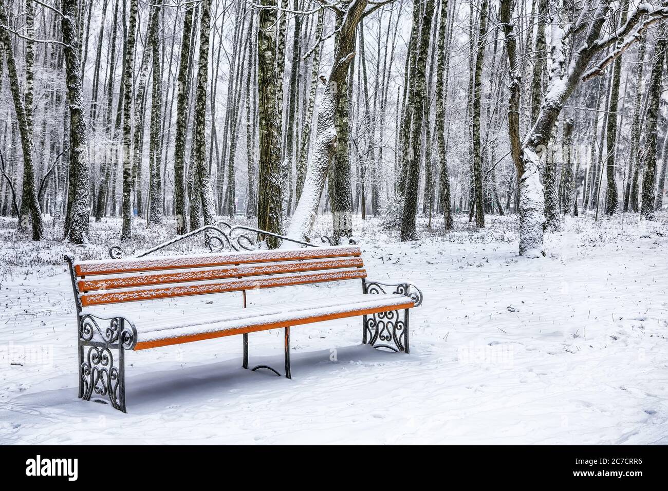 Park bench and trees covered by heavy snow. Lots of snow Stock Photo ...