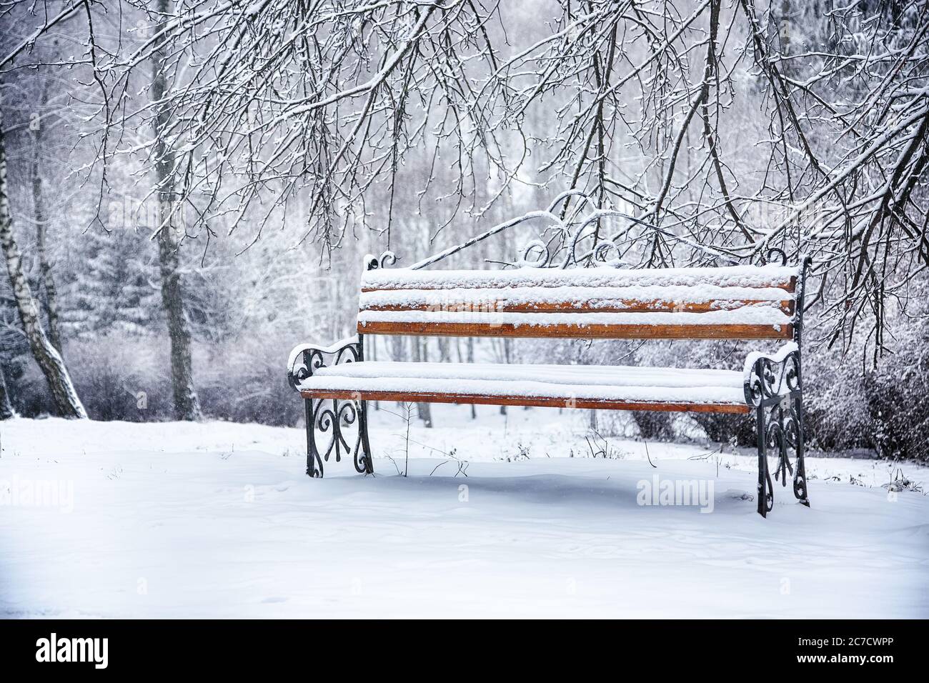 Park bench and trees covered by heavy snow. Lots of snow Stock Photo ...