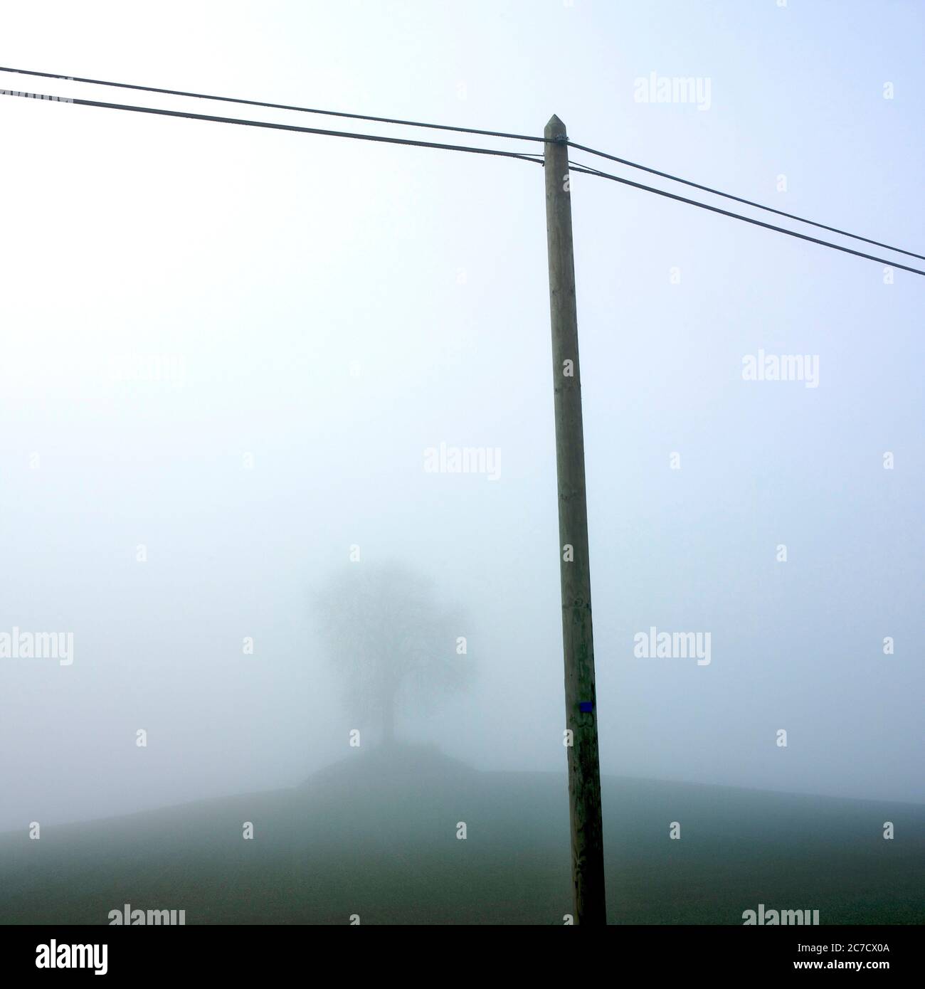 Wooden telephone pole in Auvergne, misty landscape, France Stock Photo