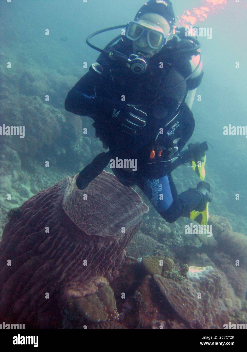 Vertical shot of a scuba diver wearing diving suit, fins and equipment
