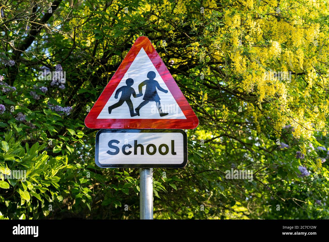 school sign in London, UK. Warning to slow down road sign with trees in the background Stock Photo