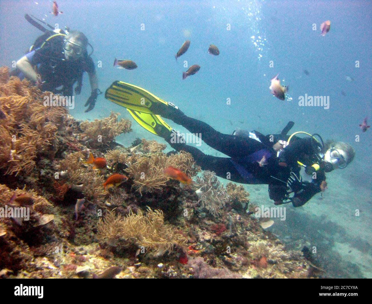 Wide shot of scuba divers wearing diving suit, fins and equipment ...