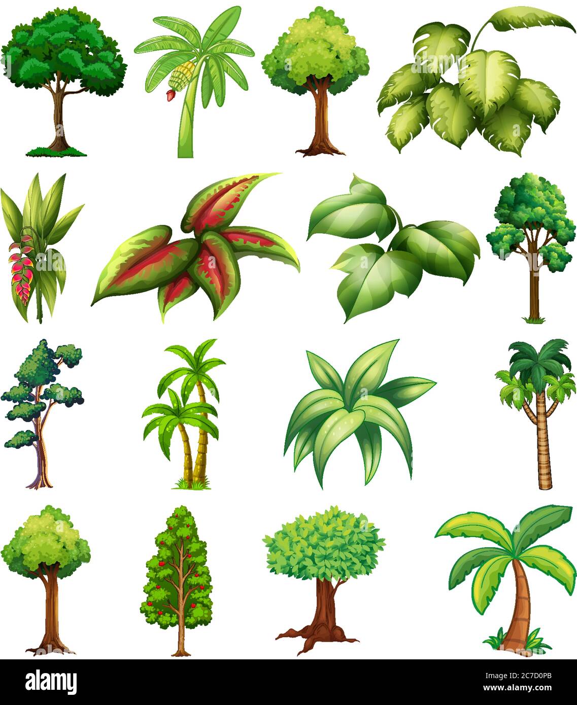 Set of variety plants and trees illustration Stock Vector Image & Art ...