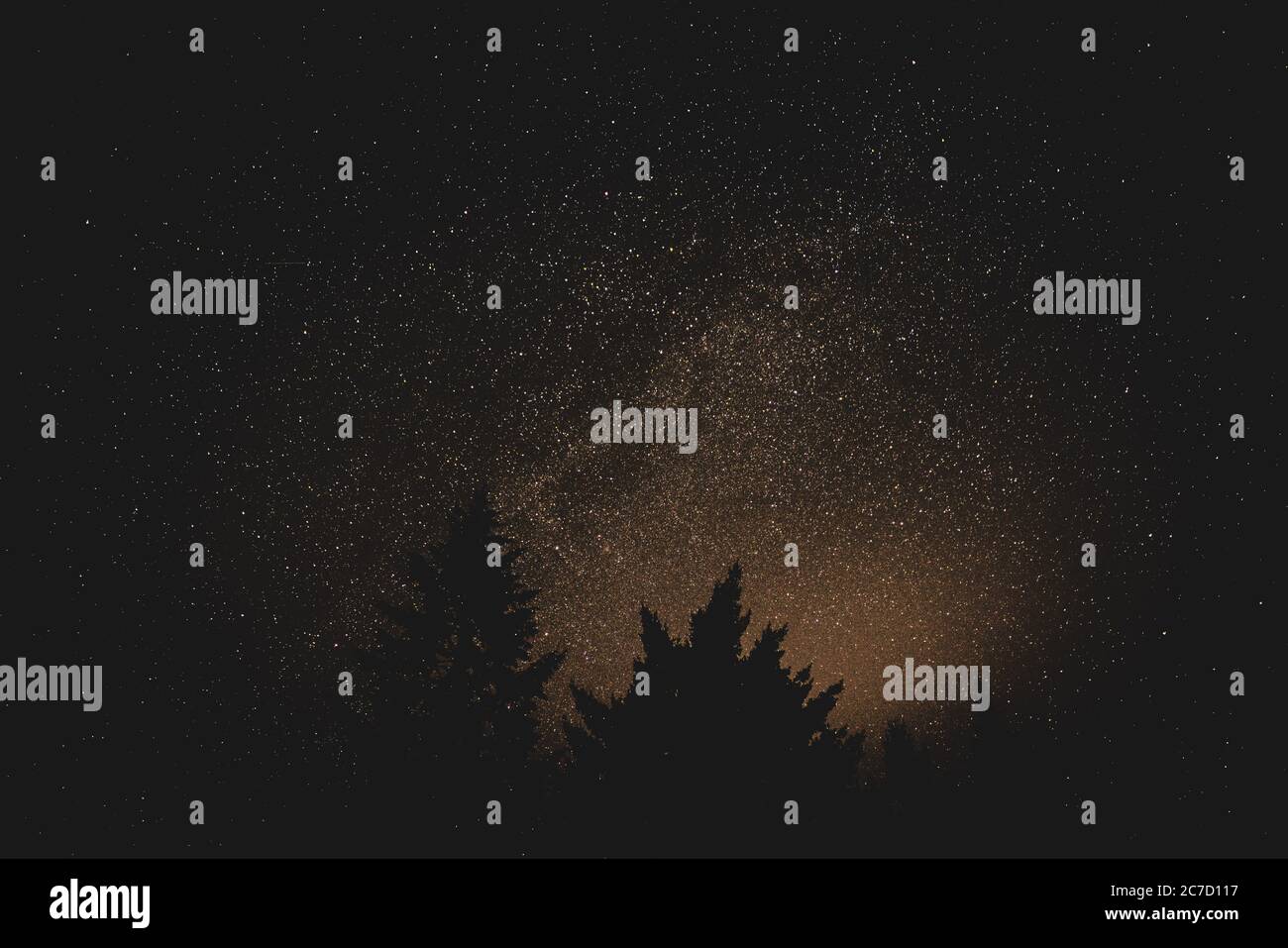 Beautiful silhouette shot of trees under a starry night sky Stock Photo ...