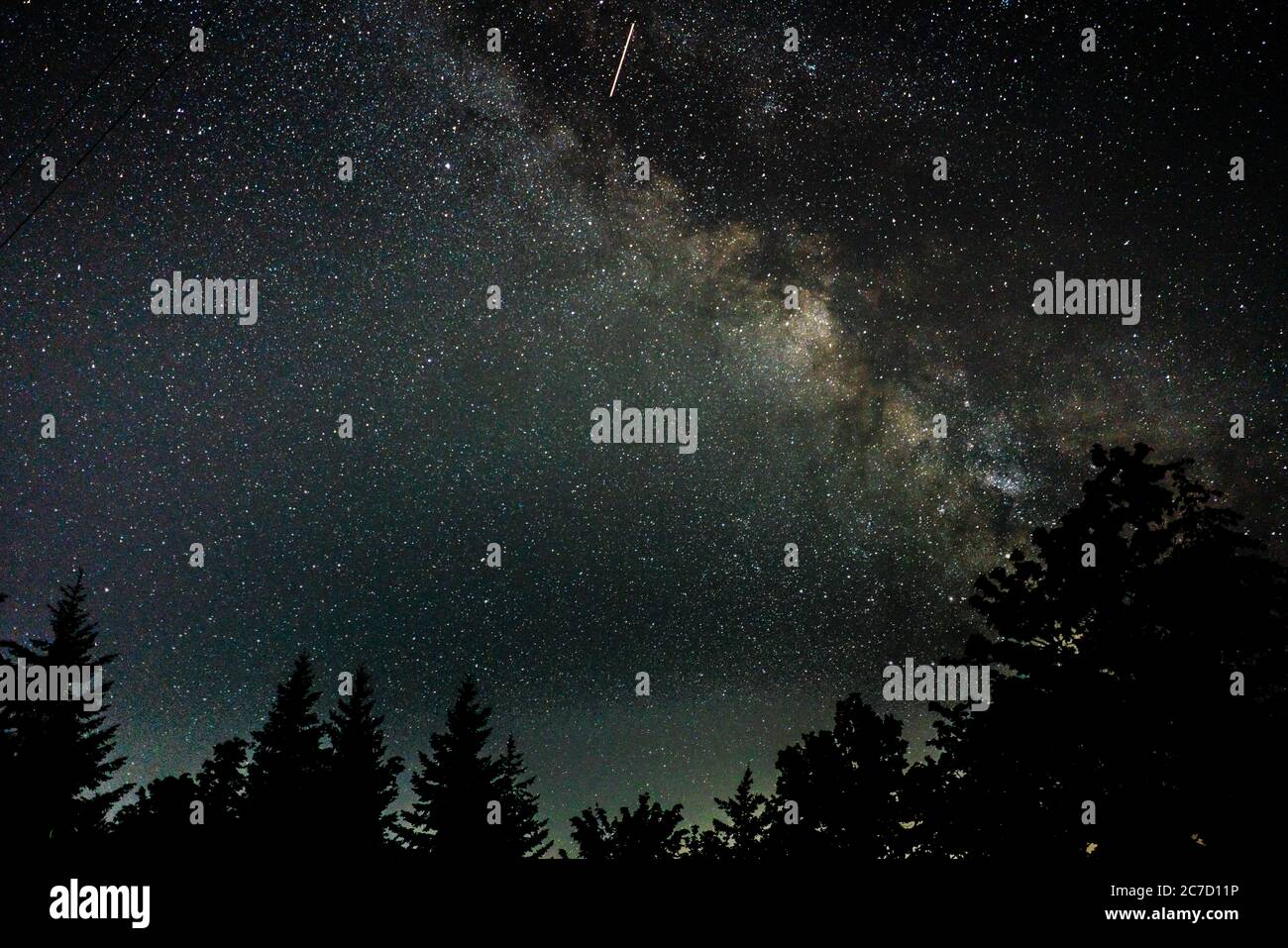 Beautiful silhouette shot of trees under a starry night sky Stock Photo ...