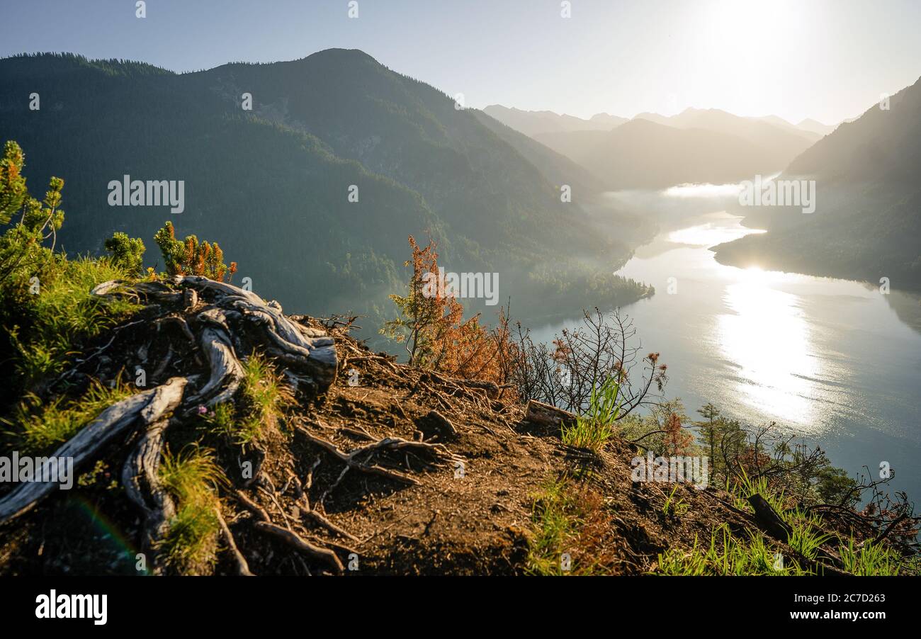 Exploring valley from top of mountain enjoying beautiful view to summer lake with turquoise water - adventure, travel and hiking concept. Plansee Stock Photo