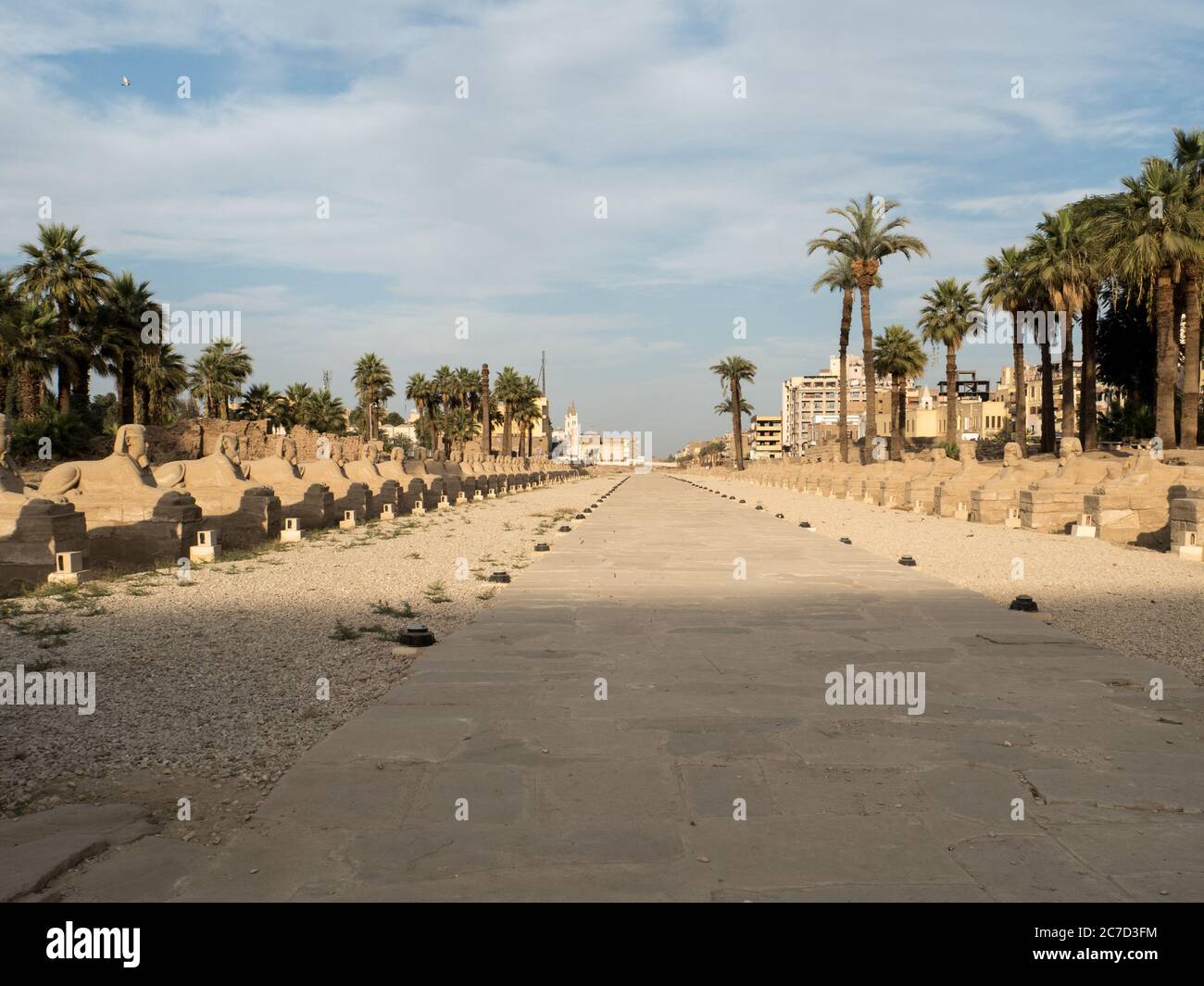 a long alley of sphinxes connects the most famous temples in luxor: karnak and luxor Stock Photo