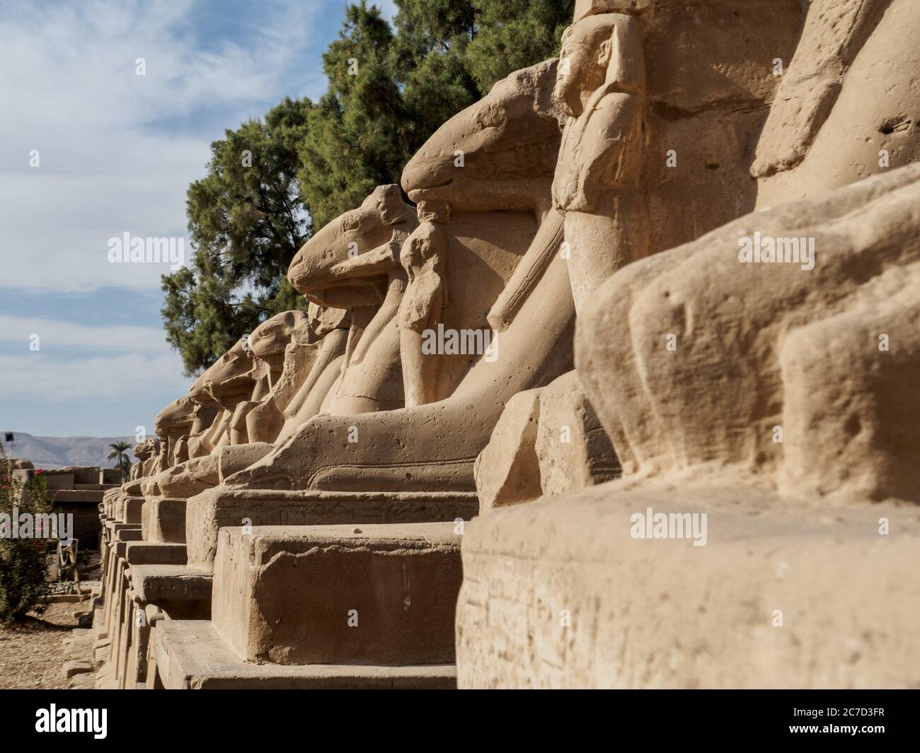 a row of ram headed sphinges in front of karnak temple Stock Photo